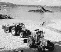 Labores del limpieza en una playa de Sada (A Corua) tras un sentinazo. /F.v.